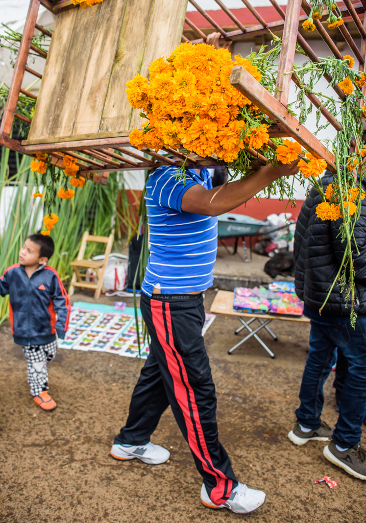 Day of the Dead, Mexico-photo-57