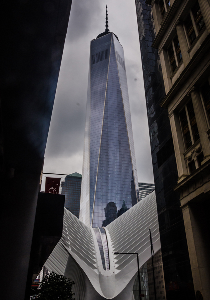 New York-photo-12