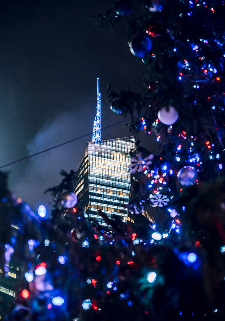 New York-photo-23