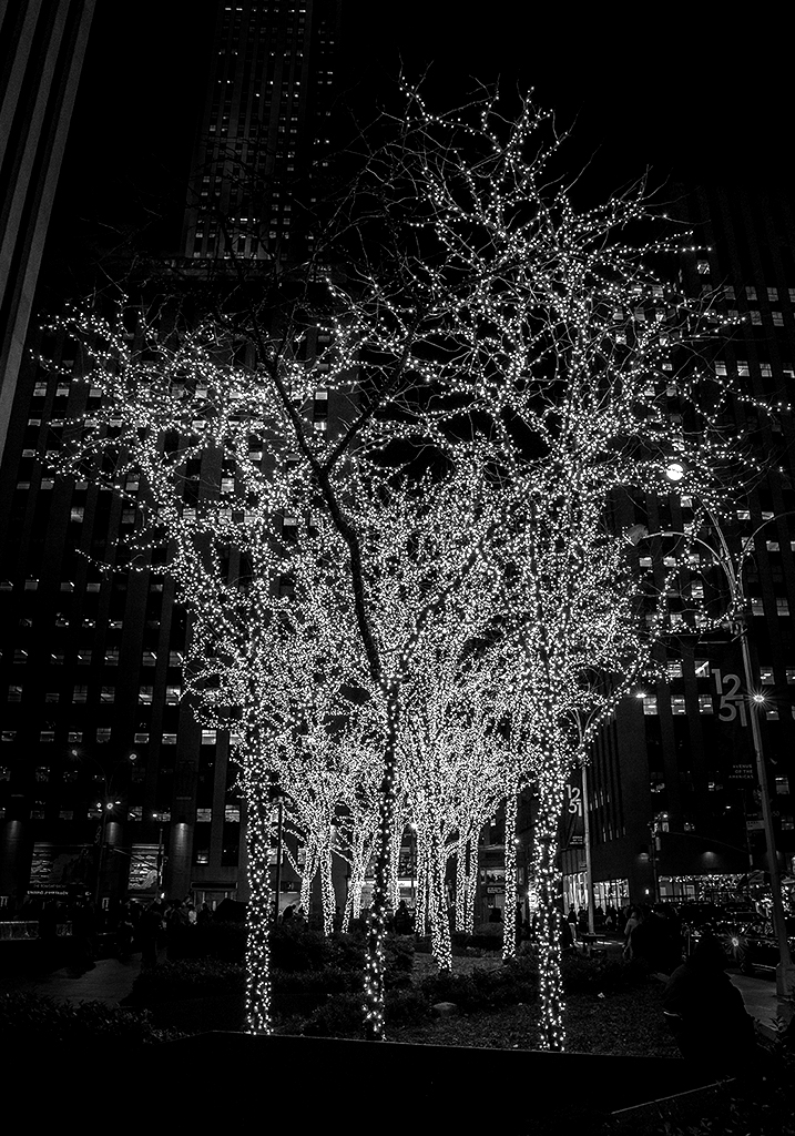 New York-photo-32
