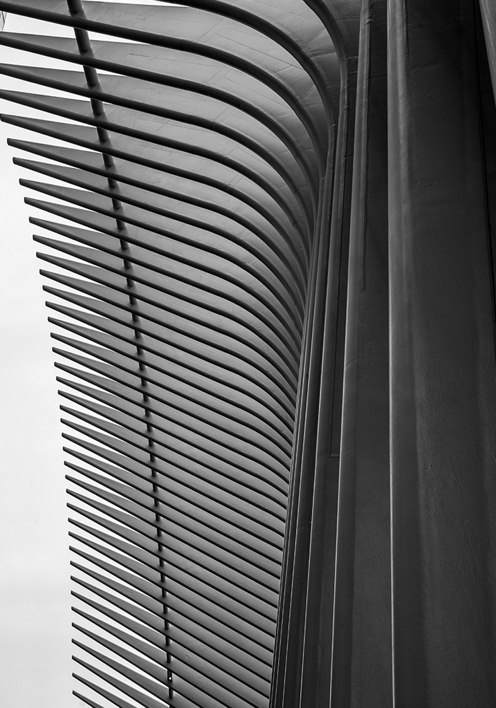 New York-photo-45