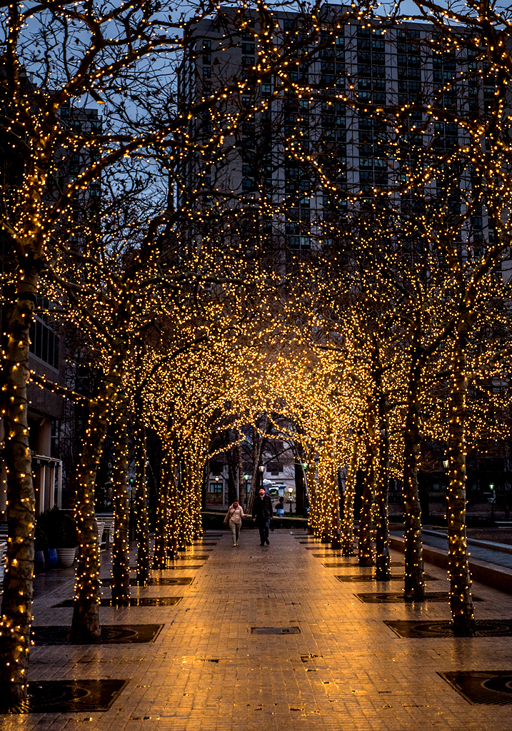 New York-photo-54