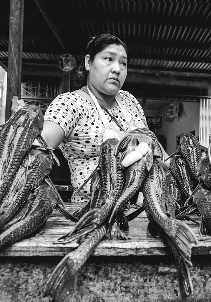 Iquitos Peru-foto-35
